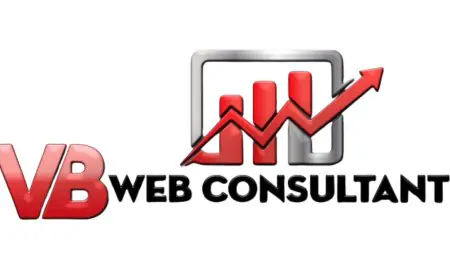 Experienced VB Web Consultant, Vinaykumar Raval, Helps Businesses Thrive Online