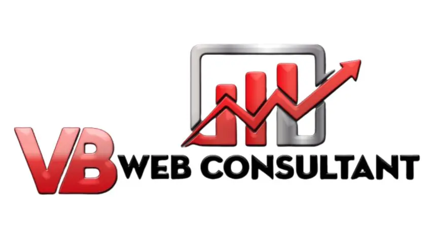 Experienced VB Web Consultant, Vinaykumar Raval, Helps Businesses Thrive Online