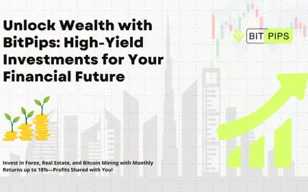 BitPips Launches High-Return Investment Plans for Everyone
