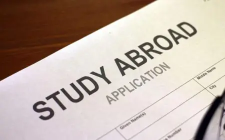 Mastering Success: Exploring Finance and Business Management Degrees in the UK