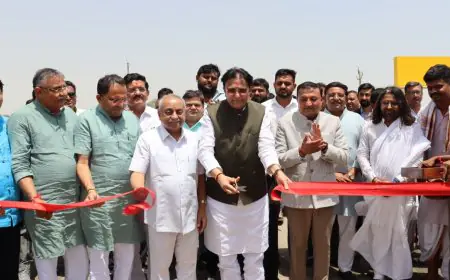 Mascot Infrastructure commences development of Mascot Industrial City