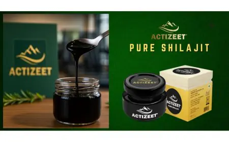 ACTIZEET Recognized Among Top Shilajit Brands in India for 2025 by Industry Experts