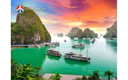 Vietnam eVisa for Indians: Everything You Need to Know