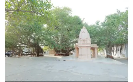 Historic Paryushan Festival at Siddhavad Tirth, Palitana