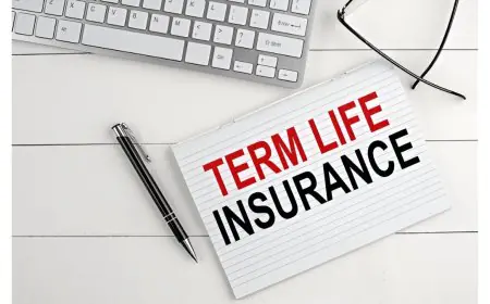 Term Insurance Guide: All You Need to Know About This Simple but Essential Plan