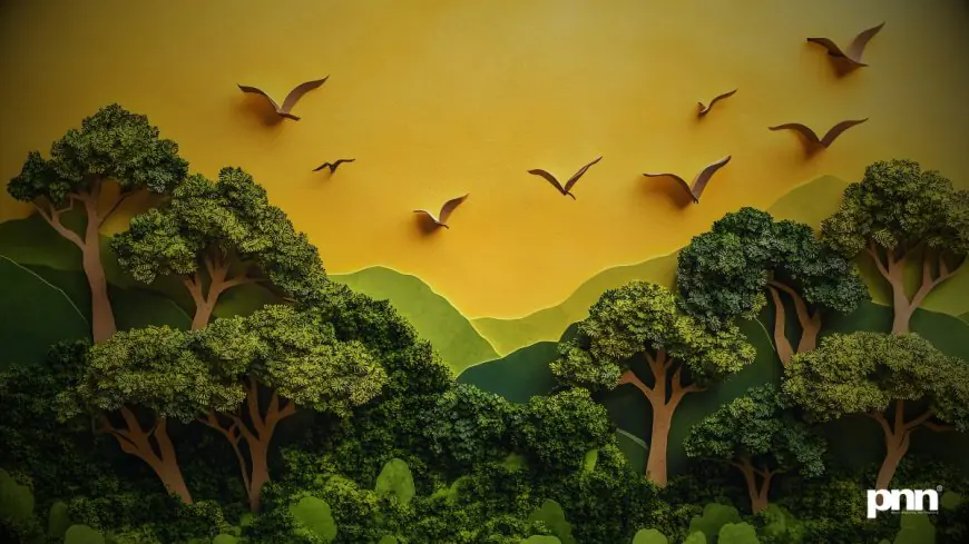 Namo Van Manesar and Land Reforms Drive Decisive Action in October 2025