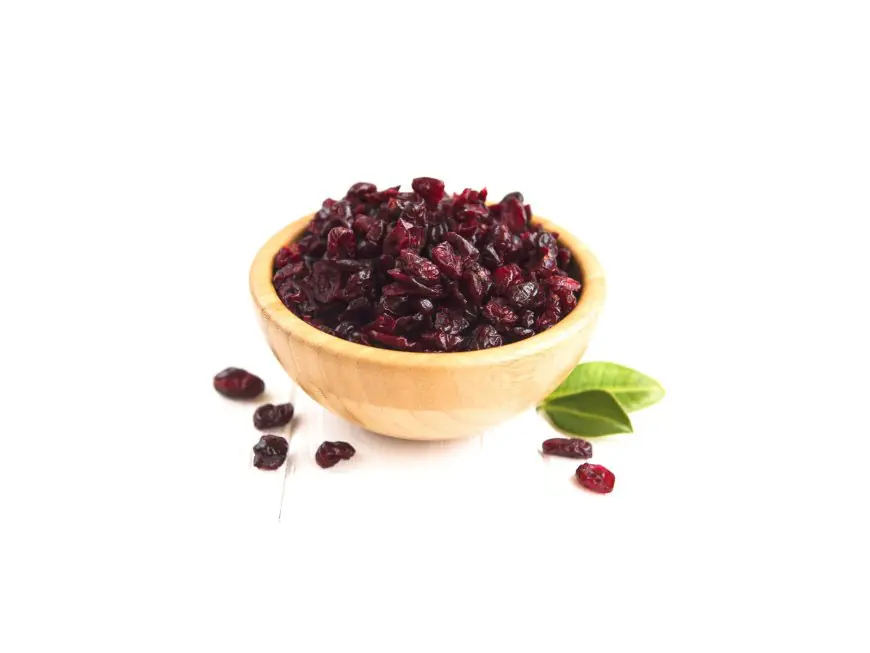 Gut Health’s Scarlet Secret: How Cranberries Shape Microbial Harmony