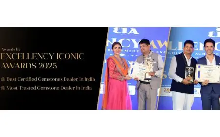 Transforming an Industry: How Dhanshree Gems Is Changing the Way the World Buys Gemstones