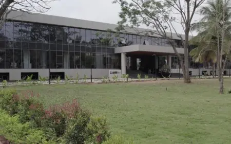 Design That Speaks Before You Do: Communication Design at JAIN (Deemed-to-be University)