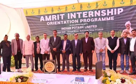 How the IPL Amrit Internship Programme A Boom for Rural Youth