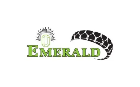 Emerald Tyre – An Indian Tyre Manufacturer Plans To Acquire 65% Stake In A South African Tyre Company To Expand Its Volumes In US Market