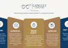 Ganguly Consulting: Empowering Businesses to Scale with Clarity, Systems, and Relationships