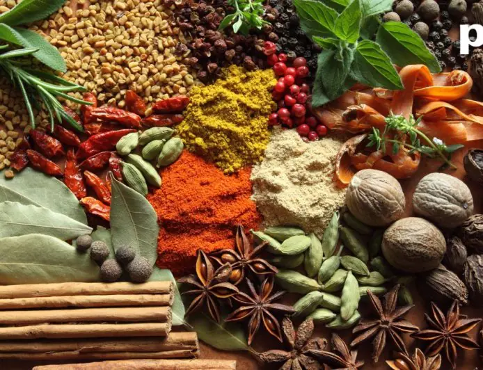 The Quest for Pepper: A Brief History of Modern Spices