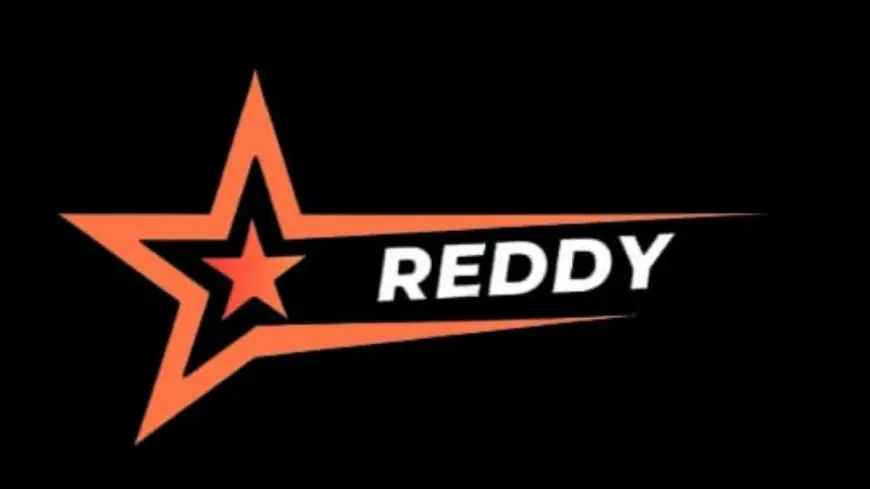Building Brands Through Insight and Innovation: An Exclusive Interaction with the Team Behind Reddy Marketing Agency