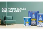 Ever Wonder Why Fresh Paint Starts Peeling, Your Walls Might Be Fine but Are They Built to Last