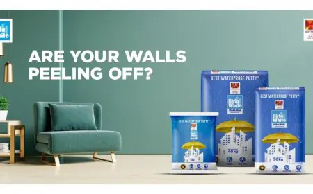 Ever Wonder Why Fresh Paint Starts Peeling, Your Walls Might Be Fine but Are They Built to Last