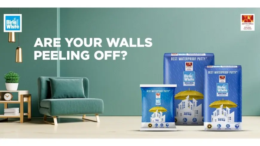 Ever Wonder Why Fresh Paint Starts Peeling, Your Walls Might Be Fine but Are They Built to Last