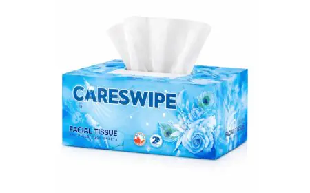 Careswipe: Redefining Everyday Hygiene with Quality and Care
