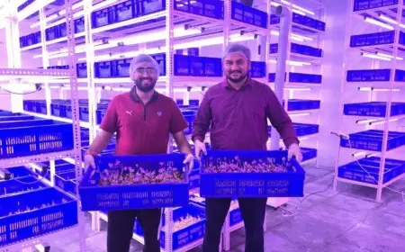 Rootious Organics Startup Revolutionizes Saffron Farming with Aeroponics, Setting New Standards for Purity and Innovation