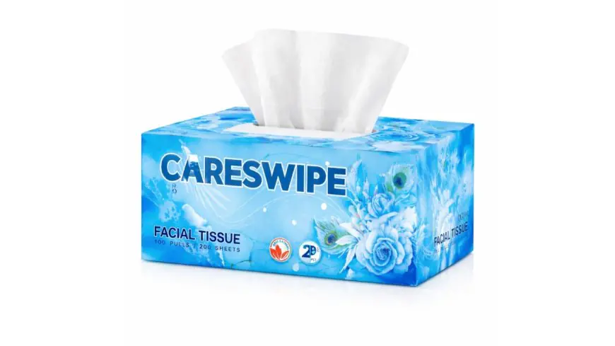 Careswipe: Redefining Everyday Hygiene with Quality and Care