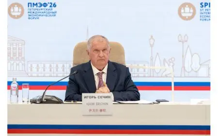 Sechin Discusses the Current State of Global Institutional Coordination
